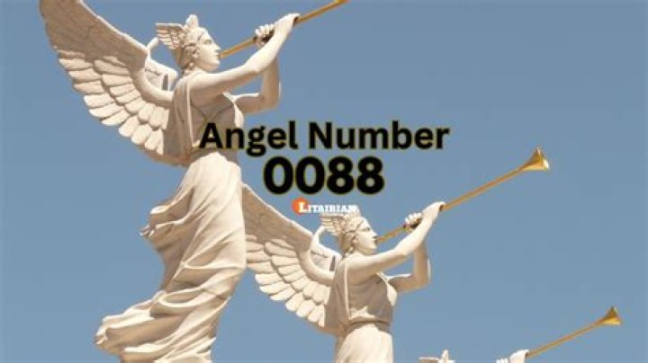 Angel Number 0088