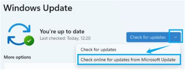check for updates