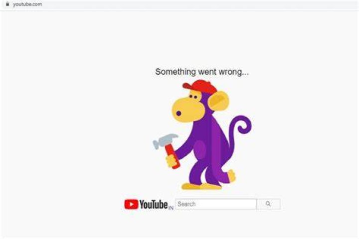 clear button something went wrong on our end paypal