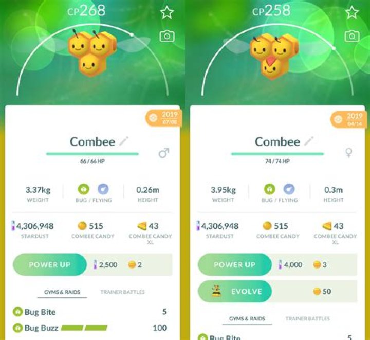 Combee Candy