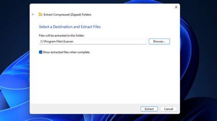 Extract folder window Extract Compressed Folder window xbox error e203