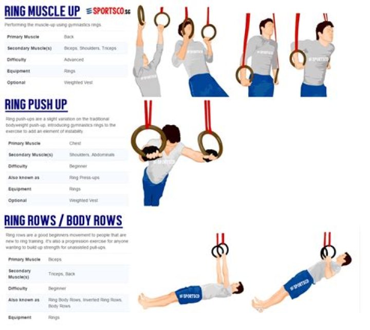 Gymnastic Ring Exercises Gymnastic Ring Exercises