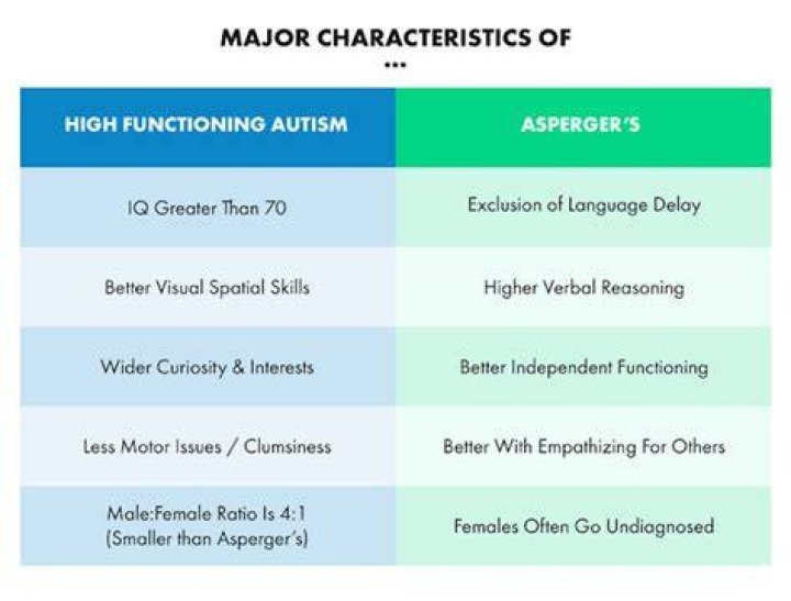 Having dated an academic with high functioning Aspergers