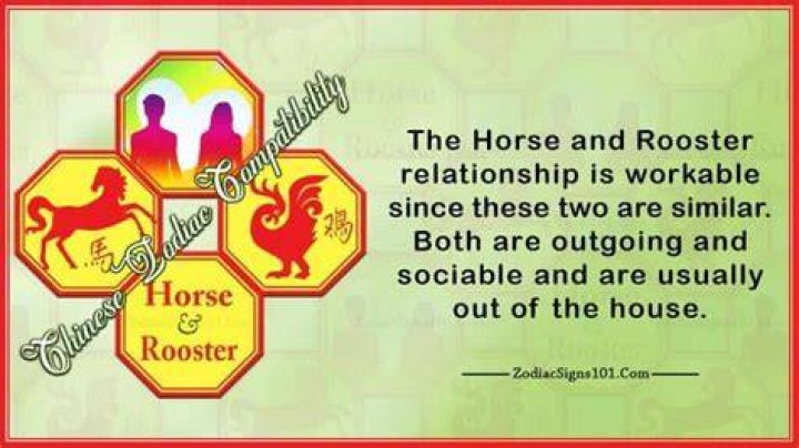 horse rooster compatibility