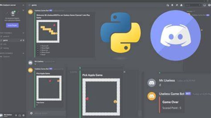 How To Create A Discord Bot Using Python