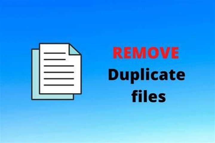 The Include window Include window remove duplicate files windows 10