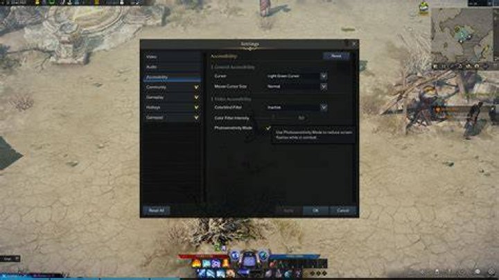 Lost Ark – Accessibility Options
