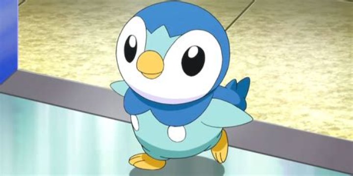 Piplup