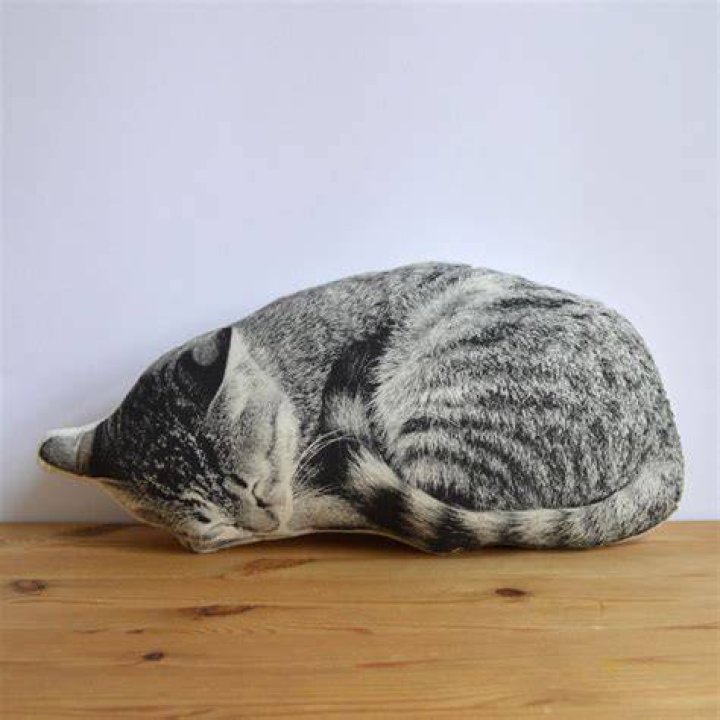 Sleeping Cat Pillow | Shop.PBS.org