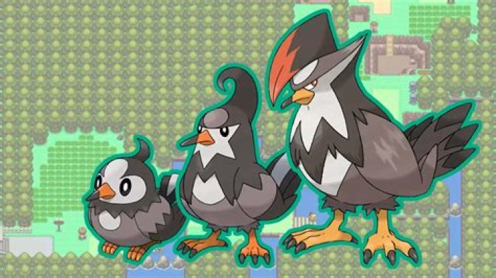 Starly