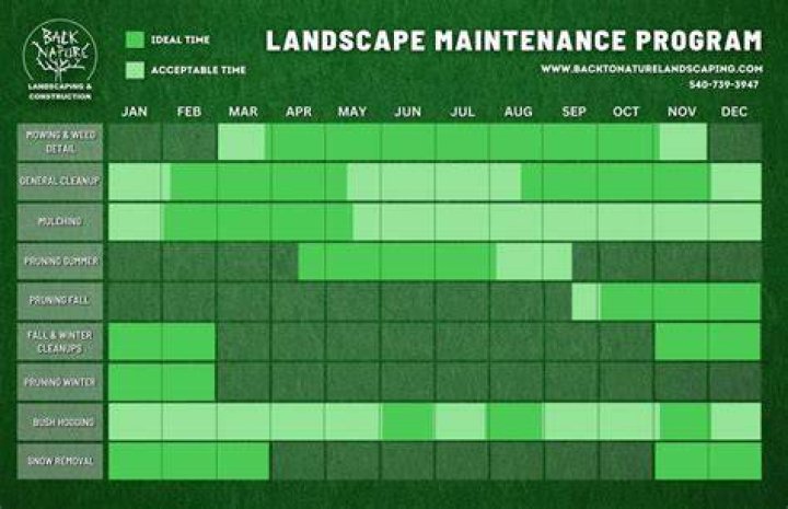 Start a Program settings Start a Program options schedule shutdown windows 11