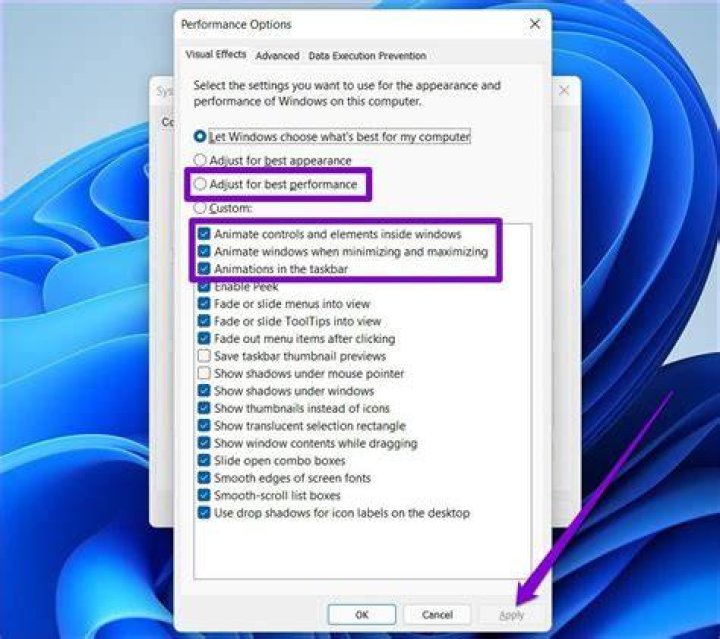 systemperformance disable animations windows 11