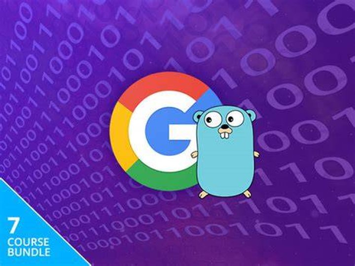 The Complete Google Go Developer Bundle