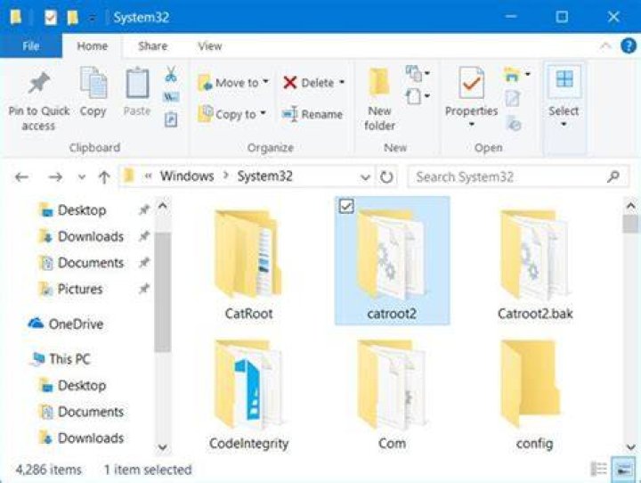 The Ren Catroot folder CP command The Ren Catroot folder command