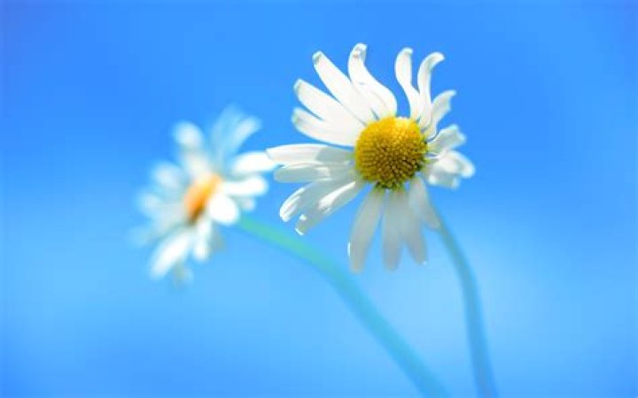 wallpapers windows 8