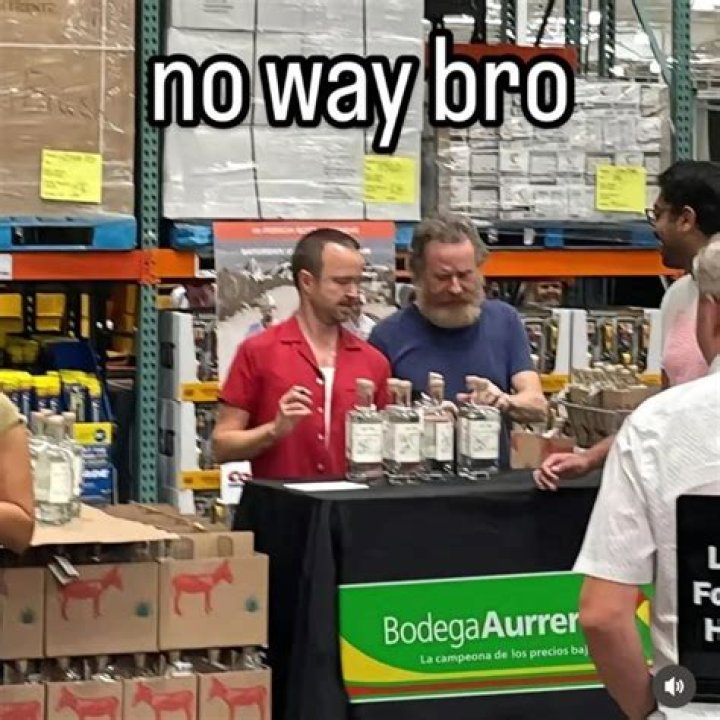 Which Bodega Bro thread do you prefer?