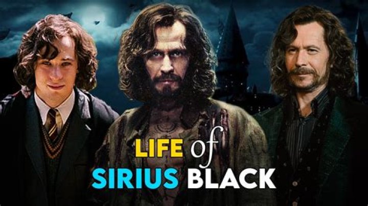 Why did Sirius attack the Fat Lady?