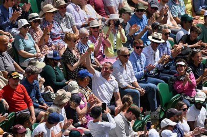 Wimbledon fans