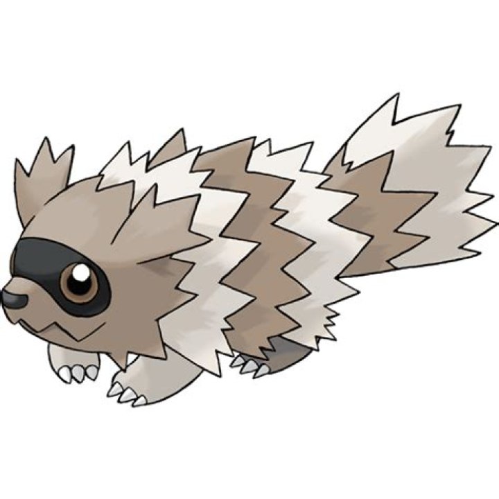 Zigzagoon
